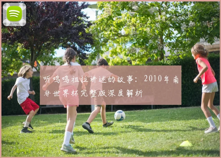 听呜呜祖拉讲述的故事：2010年南非世界杯完整版深度解析