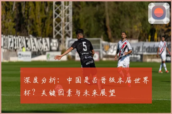 深度分析：中国是否晋级本届世界杯？关键因素与未来展望