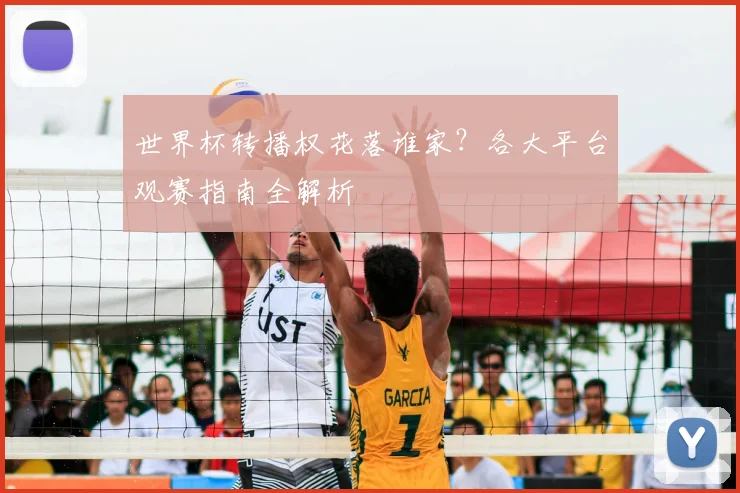 世界杯转播权花落谁家？各大平台观赛指南全解析
