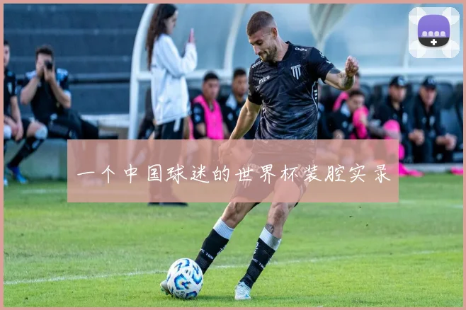 一个中国球迷的世界杯装腔实录