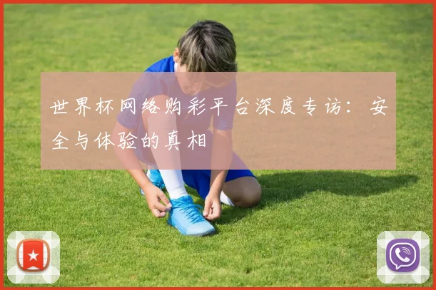 世界杯网络购彩平台深度专访:安全与体验的真相