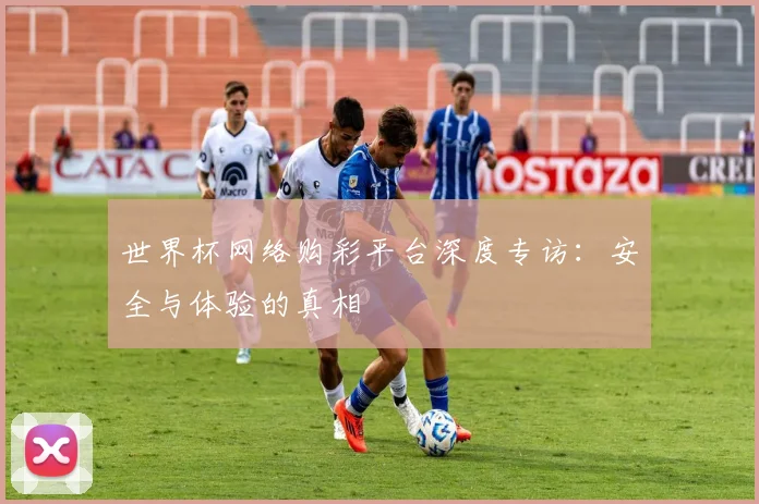 世界杯网络购彩平台深度专访:安全与体验的真相