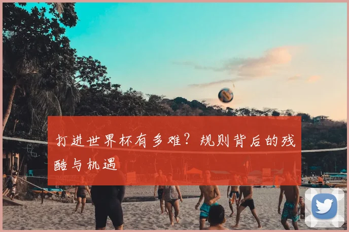 打进世界杯有多难?规则背后的残酷与机遇