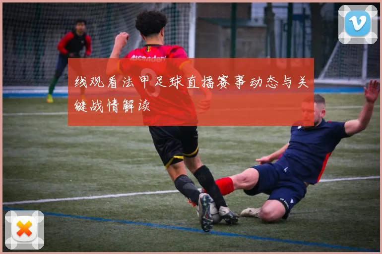 线观看法甲足球直播赛事动态与关键战情解读